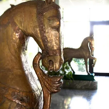 Hotel Circeo Park 4*